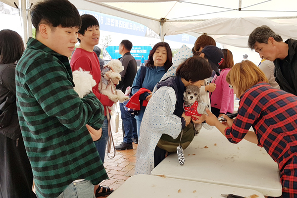 반려동물 페스티벌 2