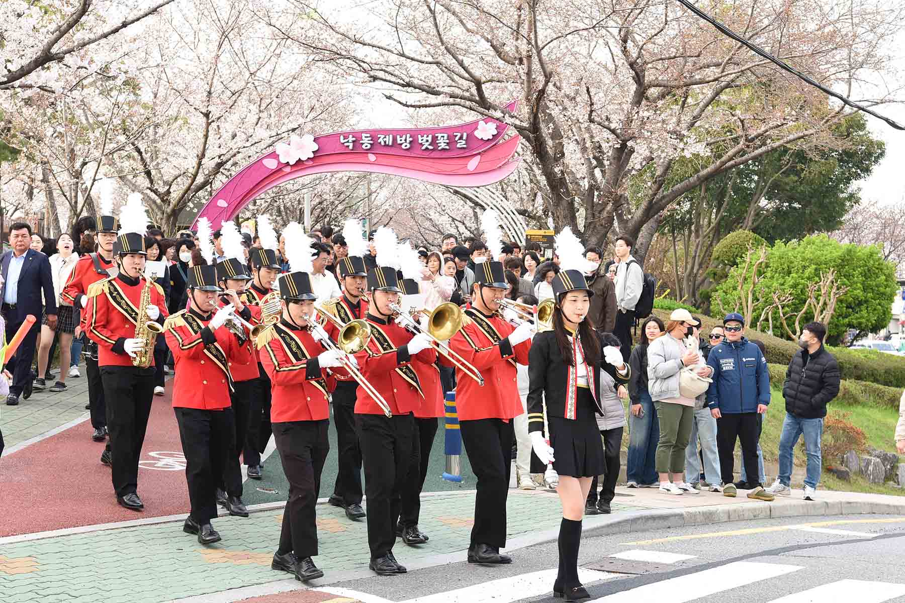 낙동강정원 벚꽃 축제 1