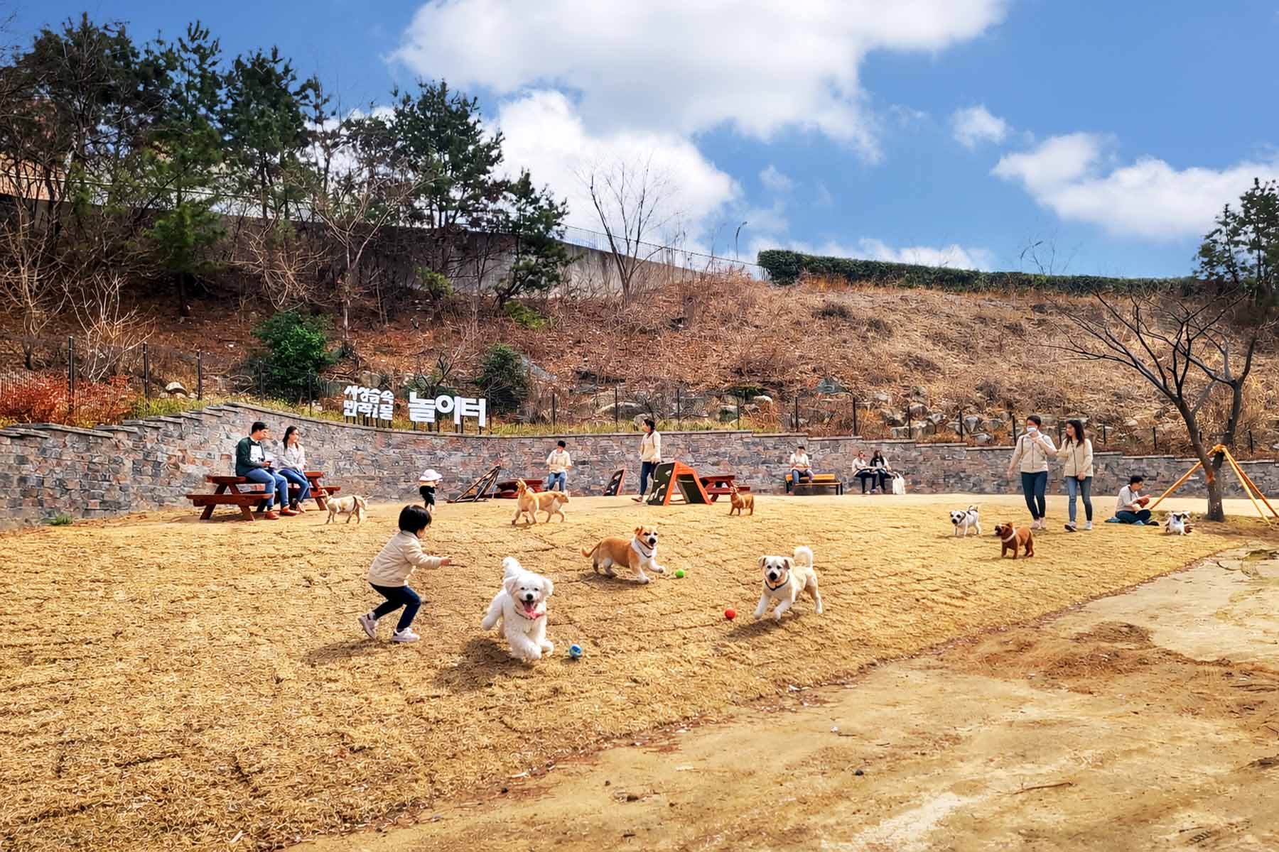 사상 숲속 반려동물 놀이터 개장식 1