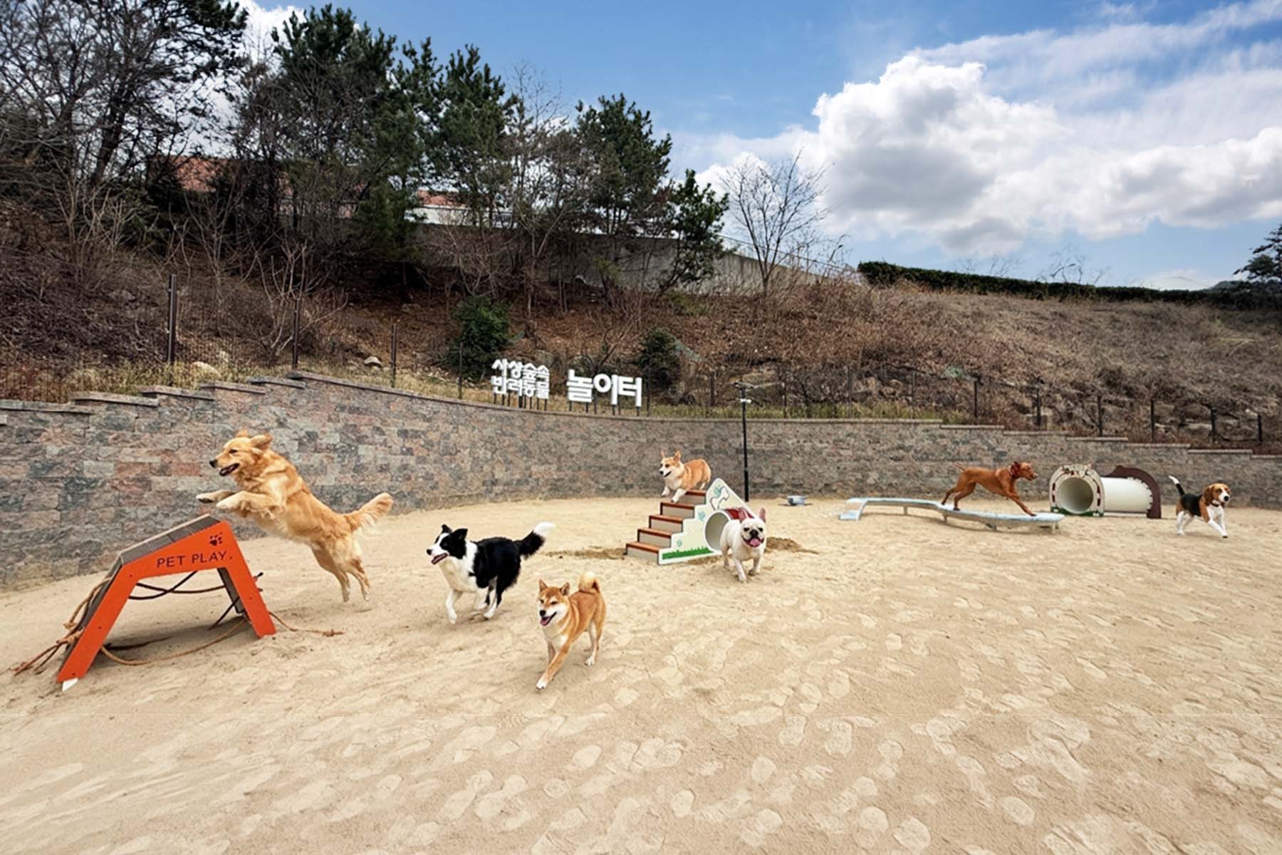 사상 숲속 반려동물 놀이터 개장식 2