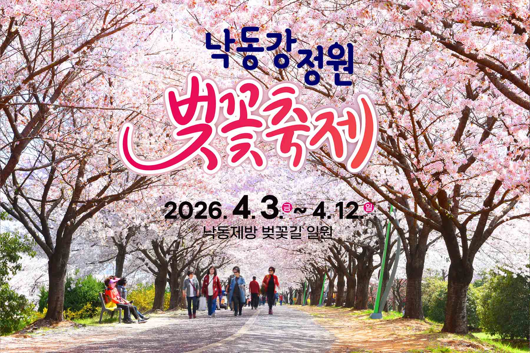 낙동강정원 벚꽃 축제 1