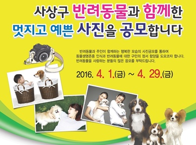 사상구 반려동물사진 공모 안내