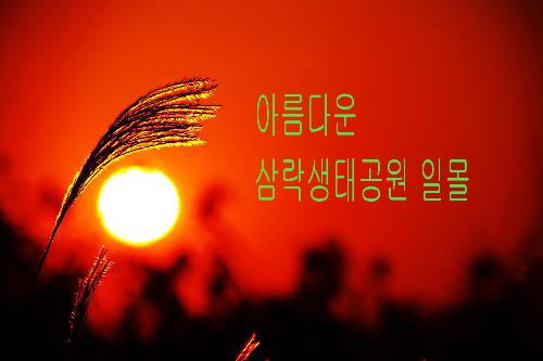 낙동강 하구 생태길-한국관광공사 '8월에 가볼만한 여행길 10선' 선정
