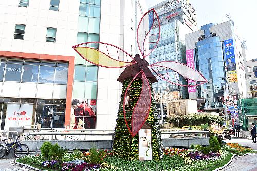 2018 사상 봄꽃 전시