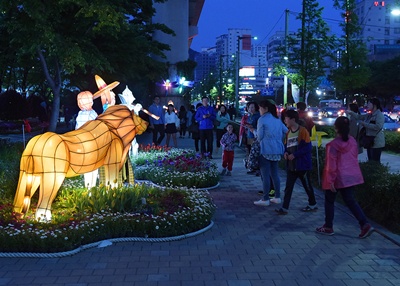 봄꽃 전시행사 야경