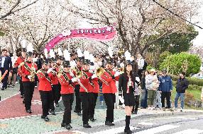낙동강정원 벚꽃 축제