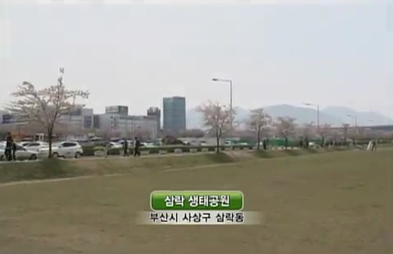 제4회 삼락벚꽃 축제