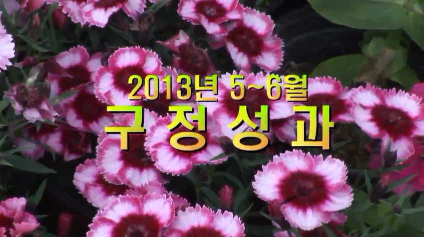2013년 5,6월 구정성과