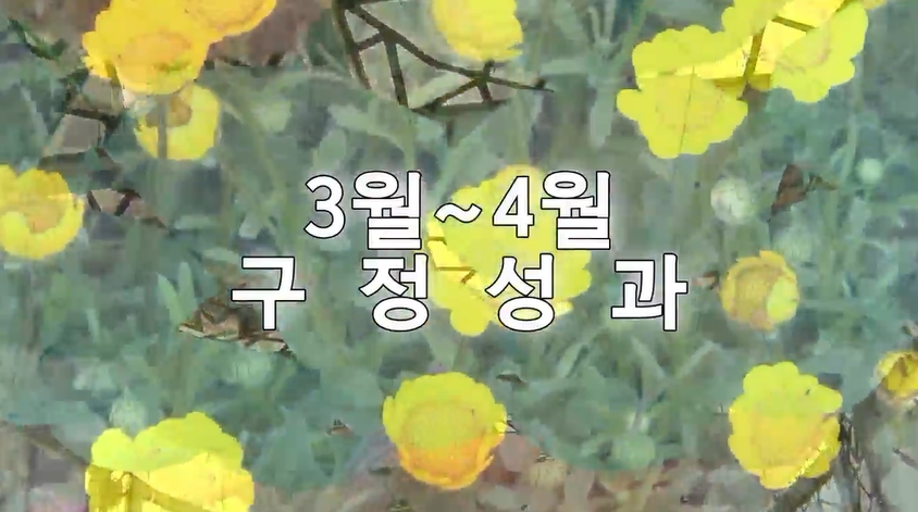2015년 3,4월 구정성과