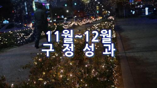 2016년 11월~12월 구정성과