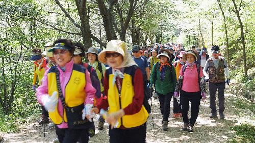 2017 사상구민 신바람 걷기대회