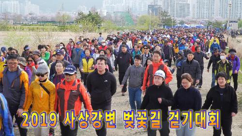 사상뉴스 - 2019 사상강변 벚꽃길 걷기대회