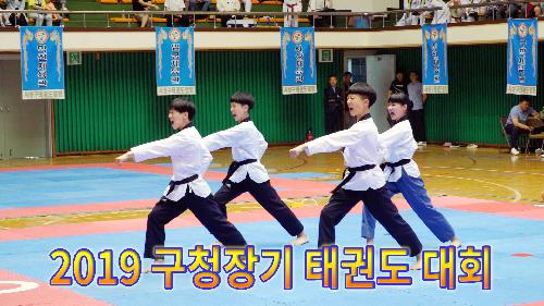 사상뉴스 - 2019 구청장기 태권도 대회