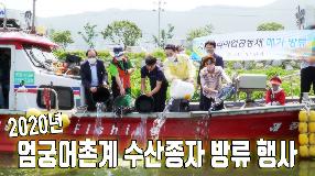 사상뉴스 - 자율관리어업공동체 수산종자 방류 행사
