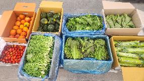 [모라3동] 맛 냉장고 사업(9월 1주)