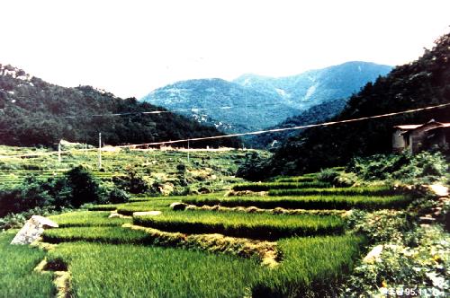 백양터널주변(예비군대대가는길 현재주공) (1985년)