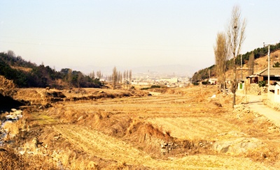 모라3동(1980년)