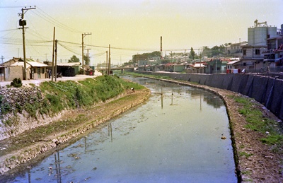 학장천(1979년)