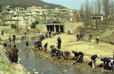 주례동 학장천상류정화활동(1980년)