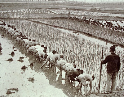 사상초등학생봉사활동(1930년대)