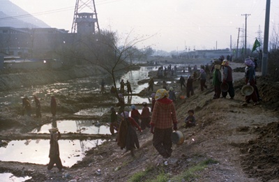 학장천취로사업 (1981년12월)