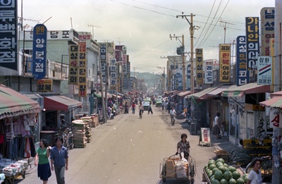 감전시장(1981년.7월)