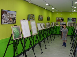 9월 영이의 비닐 우산 원화 전시 2