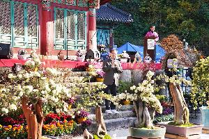 운수사 국화축제