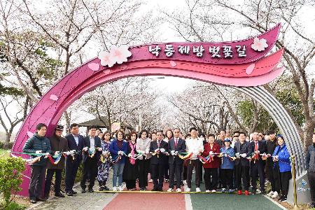 낙동강정원 벚꽃축제