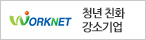 청년 친화 강소기업