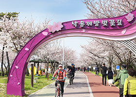 낙동 제방길 낙동제방을 따라 걸을 수 있는 산책로의 벚꽃과 함께 갈대 숲에서 바라보는 일몰은 장관을 이루고, 유채꽃 및 청보리 단지, 야생화단지가 자연 초지 및 습지와 어울어져 있어 삼락강변공원의 산책로는 서부산권 최고의 산책로 및 휴식공간으로 손꼽힌다