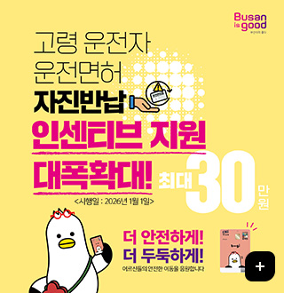 Busan is good
고령운전자 운전면허 자진반납 인센티브 지원 대폭확대! 최대 30만원
시행일 : 2026년 1월 1일
더 안전하게! 더 두둑하게! 어르신들의 안전한 이동을 응원합니다
더보기