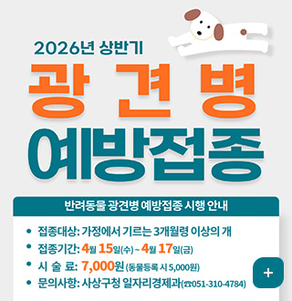 2026년도 상반기 광견병 예방접종
반려동물 광견병 예방접종 시행 안내
접종대상: 가정에서 기르는 3개월령 이상의 개
접종기간: 4월 15일(수)~4월 17일(금)
시술료: 7,000원(동물등록시5,000원)
문의사항: 사상구청 일자리경제과(☎ 051-310-4784)
더보기
