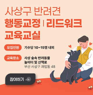사상구 반려견 행동교정 | 리드워크 교육교실

모집인원
기수당 10~15명 내외

교육장소
사상 숲속 반려동물 놀이터 및 산책로
부산 사상구 괘법동 48

참여하기 >
